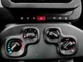 Fiat Panda Pandina KLIMA PDC EL.PAKET 5 Kopfstützen 1.0 GS... Rot - thumbnail 22