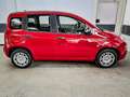 Fiat Panda Pandina KLIMA PDC EL.PAKET 5 Kopfstützen 1.0 GS... Rot - thumbnail 4