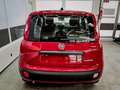 Fiat Panda Pandina KLIMA PDC EL.PAKET 5 Kopfstützen 1.0 GS... Rot - thumbnail 6