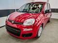 Fiat Panda Pandina KLIMA PDC EL.PAKET 5 Kopfstützen 1.0 GS... Rot - thumbnail 1
