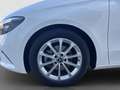Mercedes-Benz B 180 **PTS*Rückfahrkamera*SpurH-Assistent*LED** Weiß - thumbnail 19