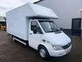 Mercedes-Benz Sprinter 311 CDI Bakwagen Marge! 435x210x220 Koffer Weiß - thumbnail 10