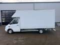Mercedes-Benz Sprinter 311 CDI Bakwagen Marge! 435x210x220 Koffer Weiß - thumbnail 2