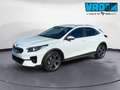 Kia XCeed 1.6 CRDi 136 CV MHEV iMT Style Bianco - thumbnail 1