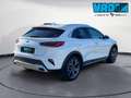Kia XCeed 1.6 CRDi 136 CV MHEV iMT Style Bianco - thumbnail 3