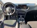Kia XCeed 1.6 CRDi 136 CV MHEV iMT Style Bianco - thumbnail 6