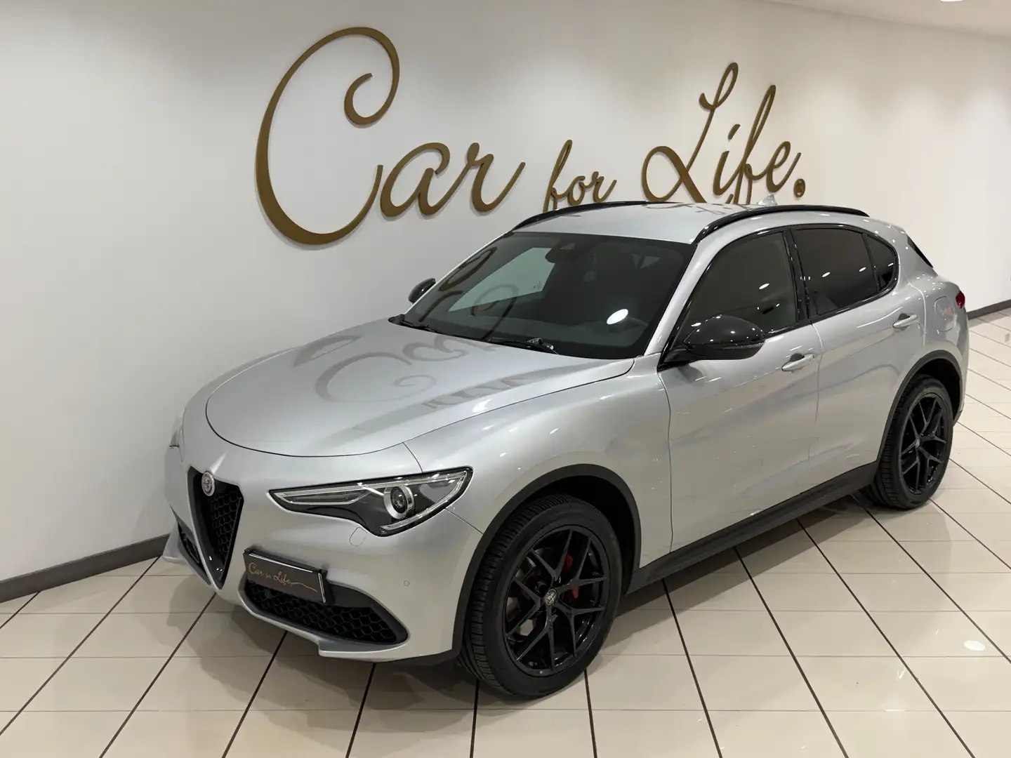 Alfa Romeo Stelvio 2.0 t B-Tech Q4 280 CV Full Optionals Plateado - 1
