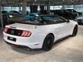 Ford Mustang GT CABRIO UNFALLFREI*PERFORMANCE*ACC*19" Weiß - thumbnail 3