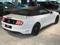 Ford Mustang GT CABRIO UNFALLFREI*PERFORMANCE*ACC*19" Weiß - thumbnail 7