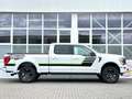 Ford F 150 XLT 5,0L V8 Offr. 4x4 Longbed LED 6Sitze Weiß - thumbnail 6