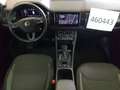 Skoda Kodiaq 2.0 TDI DSG Drive 125 AHK NAV Grau - thumbnail 4