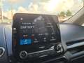 Ford EcoSport 1.0 EcoBoost 125 CV Start&Stop aut. Titanium Gris - thumbnail 15
