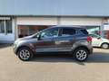 Ford EcoSport 1.0 EcoBoost 125 CV Start&Stop aut. Titanium Gris - thumbnail 5