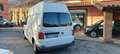 Volkswagen T6 Transporter Transp.30 2.0 tdi 150cv 4mot. p.l. E6 Blanc - thumbnail 4