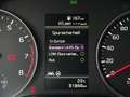 Kia Rio Silber 1,25 MWST 1.Besitz Grau - thumbnail 23