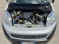 Fiat Fiorino professional cargo sx- iva compresa Blanc - thumbnail 17