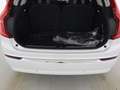 Volvo XC90 Plus Bright Recharge Plug-In Hybrid AWD 7-Sitzer S Weiß - thumbnail 7