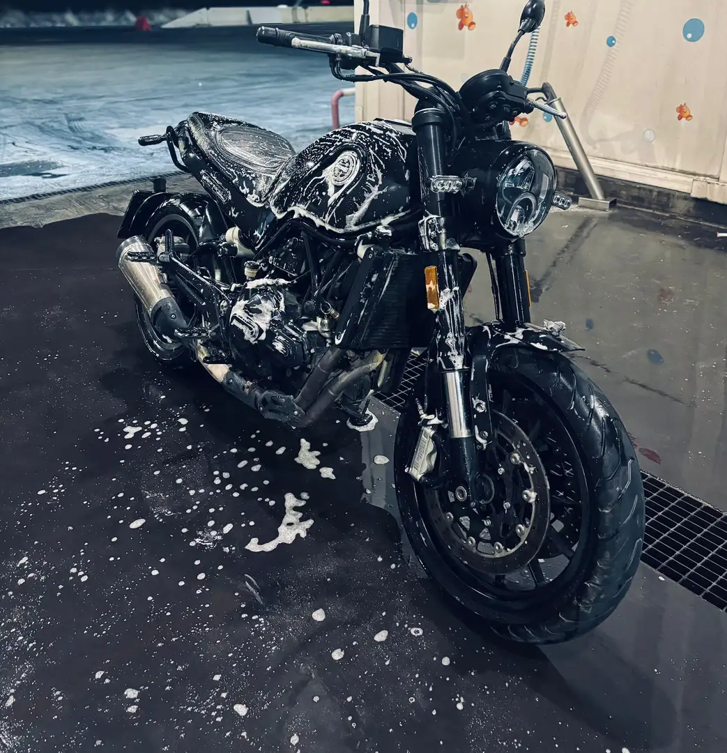 Benelli Leoncino benelli leoncino 500 - 2