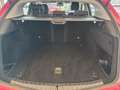 Alfa Romeo Stelvio Alfa Romeo Stelvio 2.2 td 190cv AT8 Q4 Executive Rouge - thumbnail 16