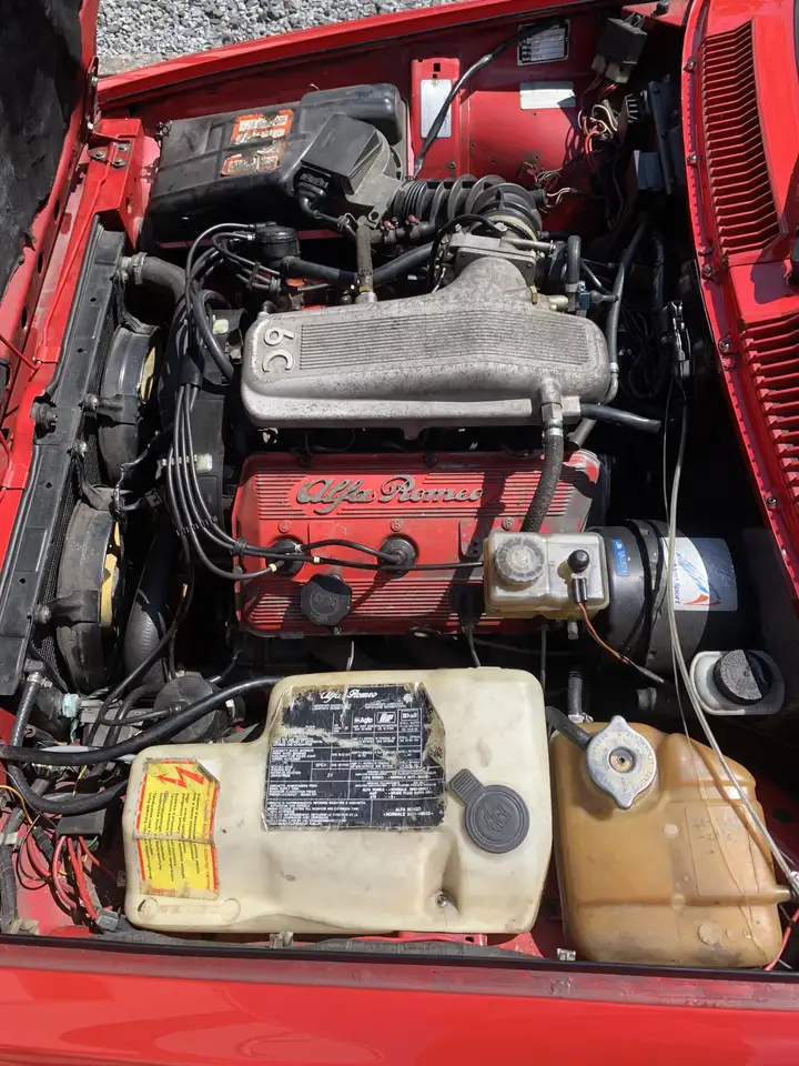 Alfa Romeo Gtv6 3.0, foto 8