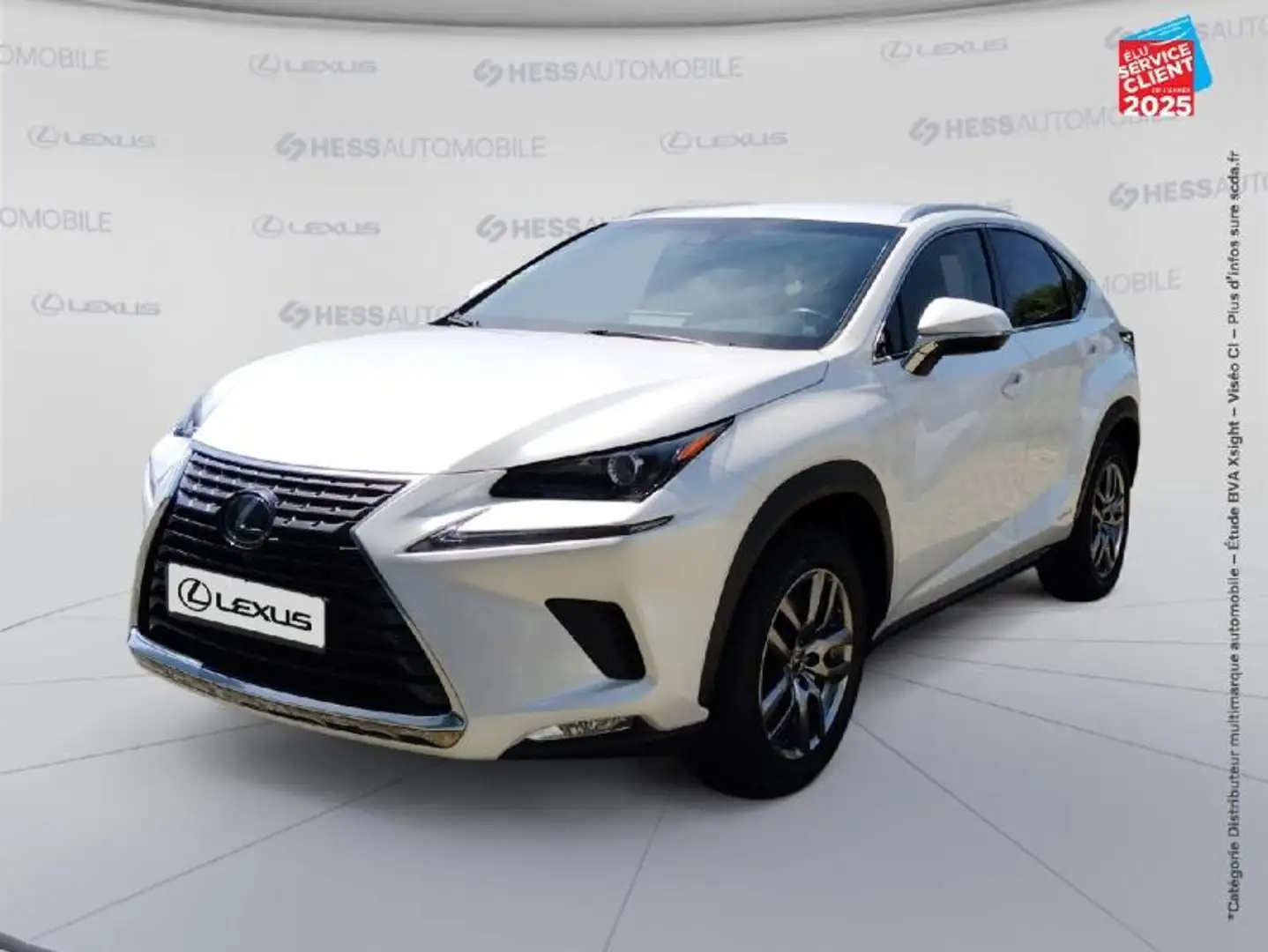 Lexus NX 300h 300h 4WD Pack MM19 Wit - 1