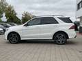 Mercedes-Benz GLE 350 d 4M AMG Line G-Tronic Night Optik Pano Weiß - thumbnail 2