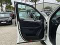 Mercedes-Benz GLE 350 d 4M AMG Line G-Tronic Night Optik Pano Weiß - thumbnail 15