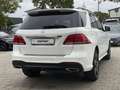 Mercedes-Benz GLE 350 d 4M AMG Line G-Tronic Night Optik Pano Weiß - thumbnail 5