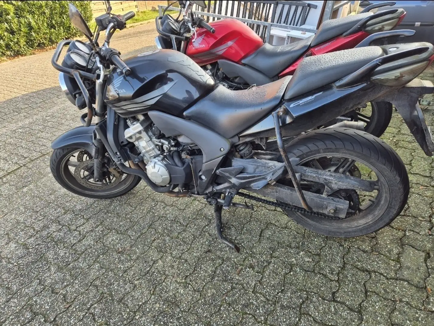 Honda CBF 600 Zwart - 2