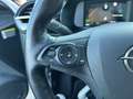 Opel Corsa-e First Edition Leder - Panoramadach - Keyless Go Weiß - thumbnail 19