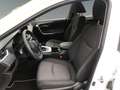 Toyota RAV 4 RAV4 2.5 Business Edition +Allwetter+EPH+Navi Blanc - thumbnail 10