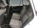 Toyota RAV 4 RAV4 2.5 Business Edition +Allwetter+EPH+Navi Blanc - thumbnail 14