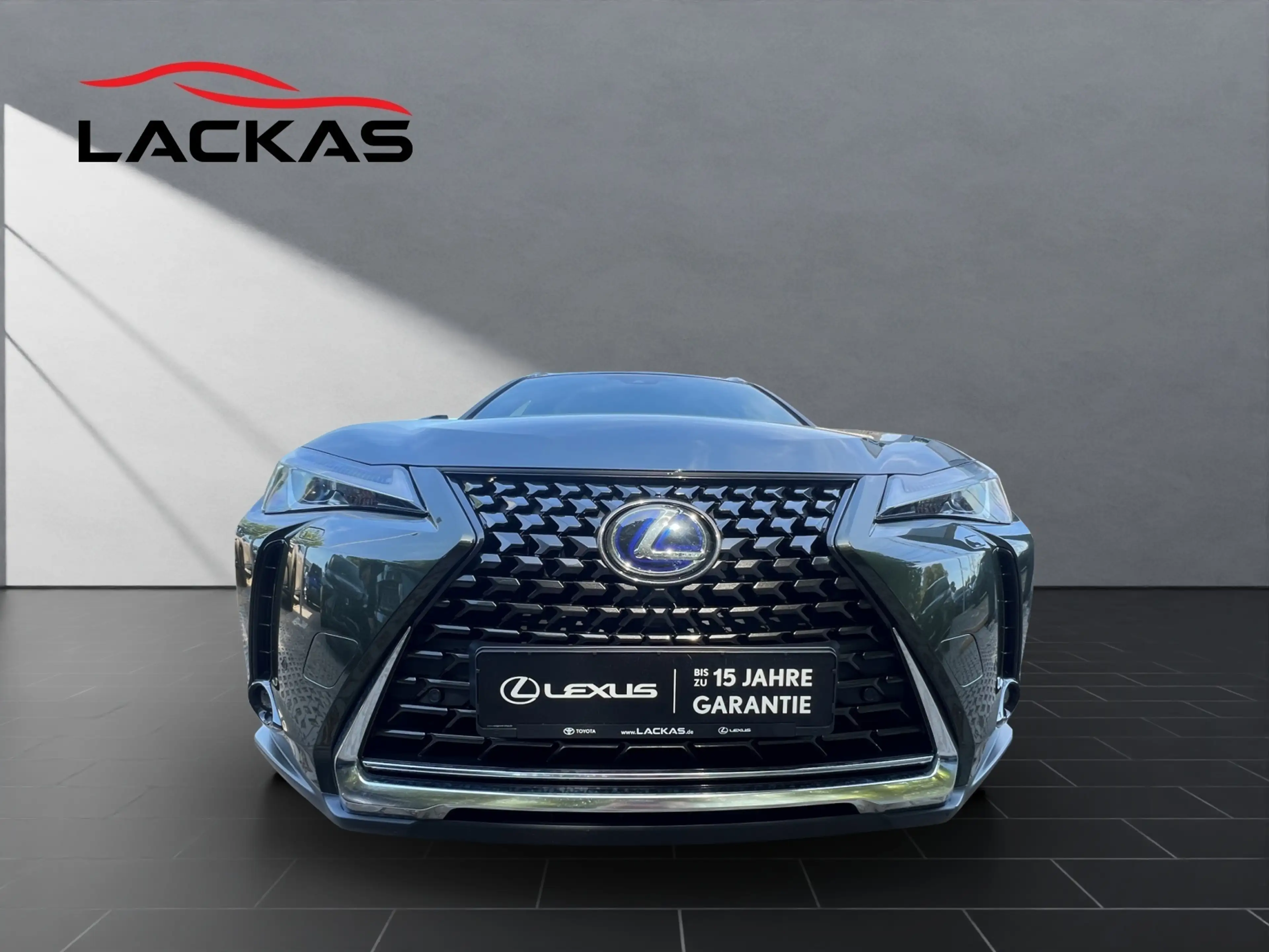 Lexus UX 250h 250h+STYLE+ — photo 8
