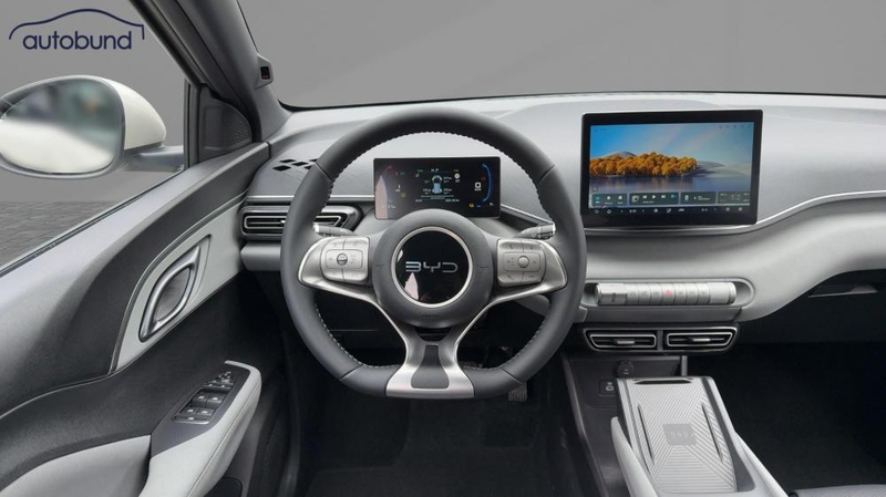 BYD Dolphin Surf Comfort Alu LED Link NAV NBA PDC RFK SHA Shz — photo 10