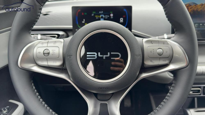 BYD Dolphin Surf Comfort Alu LED Link NAV NBA PDC RFK SHA Shz — photo 11
