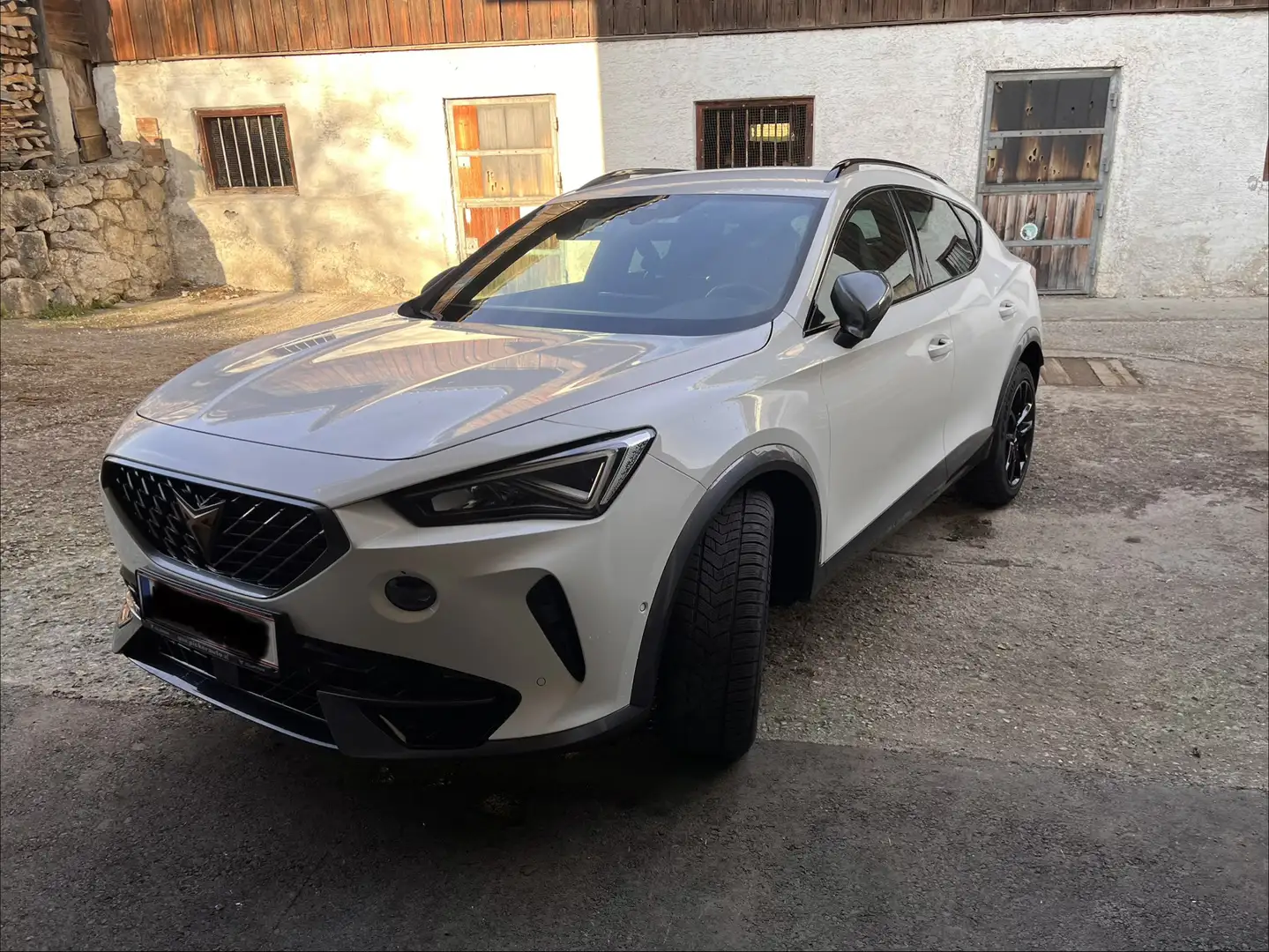 CUPRA Formentor VZ 2,0 TSI DSG - 1