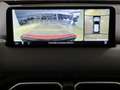 Mazda CX-5 CX-5 2.2L Skyactiv-D 184 CV aut. AWD Homura Rouge - thumbnail 17