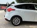 Ford Focus 2.0 TDCI 150CH BOITE AUTOMATIQUE Blanc - thumbnail 10