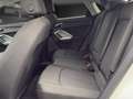 Audi Q3 Sportback TFSI e AHK*Kamera*LED*Virtual Weiß - thumbnail 19