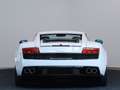 Lamborghini Gallardo Coupe 5.0 520 e-gear (varie disponibilità) Bianco - thumbnail 5