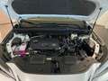 Lexus NX 350h Premium 2WD Blanco - thumbnail 23