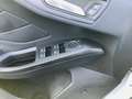 Ford Focus 1.5EcoB.''ACTIVE''LED-SW,Pano,B&O Bílá - thumbnail 19
