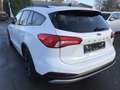 Ford Focus 1.5EcoB.''ACTIVE''LED-SW,Pano,B&O Wit - thumbnail 7