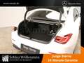 Mercedes-Benz CLA 250 e AMG/Night/MULTIBEAM/PanoD/BusinessP/Cam Blanco - thumbnail 10