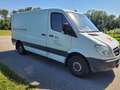 Mercedes-Benz Sprinter Sprinter 313 CDI 3,5 t / 3.550 mm Weiß - thumbnail 2
