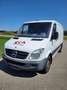 Mercedes-Benz Sprinter Sprinter 313 CDI 3,5 t / 3.550 mm Weiß - thumbnail 4