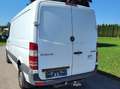 Mercedes-Benz Sprinter Sprinter 313 CDI 3,5 t / 3.550 mm Weiß - thumbnail 6