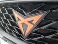 CUPRA Formentor 1.4 e-hybrid 204cv dsg Verde - thumbnail 18