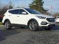 Hyundai SANTA FE 2.2 T-GDI blue Premium 4WD Bi-Xenon ACC Biały - thumbnail 8