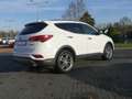 Hyundai SANTA FE 2.2 T-GDI blue Premium 4WD Bi-Xenon ACC Biały - thumbnail 7